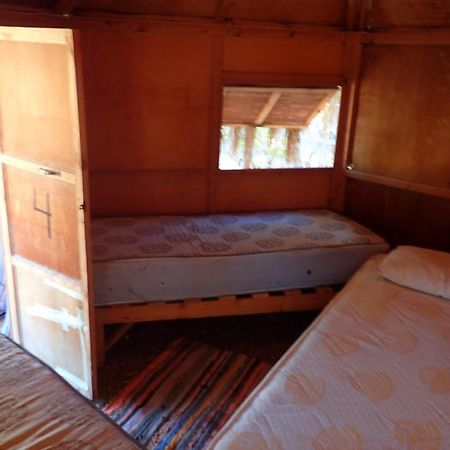 Bedouin Star Ξενοδοχείο Τάμπα Εξωτερικό φωτογραφία