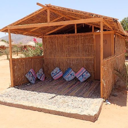 Bedouin Star Ξενοδοχείο Τάμπα Εξωτερικό φωτογραφία
