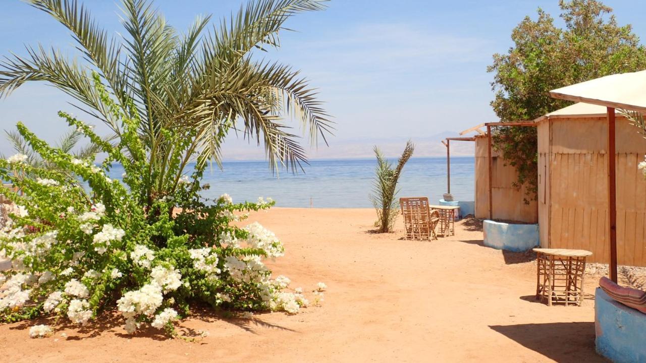 Bedouin Star Ξενοδοχείο Τάμπα Εξωτερικό φωτογραφία