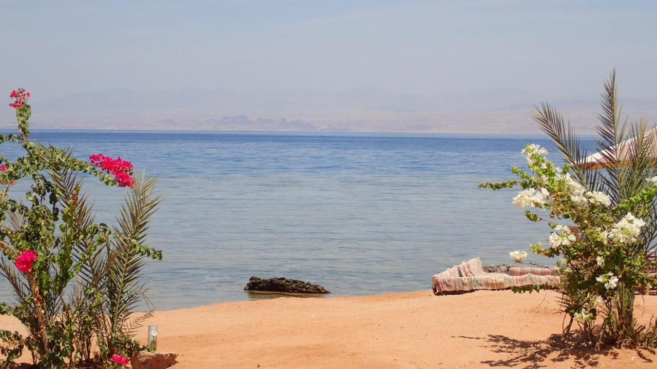 Bedouin Star Ξενοδοχείο Τάμπα Εξωτερικό φωτογραφία