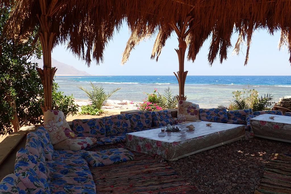 Bedouin Star Ξενοδοχείο Τάμπα Εξωτερικό φωτογραφία