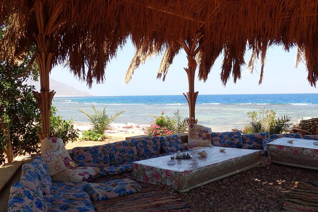 Bedouin Star Ξενοδοχείο Τάμπα Εξωτερικό φωτογραφία