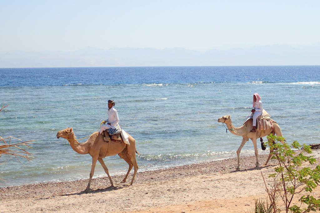 Bedouin Star Ξενοδοχείο Τάμπα Εξωτερικό φωτογραφία