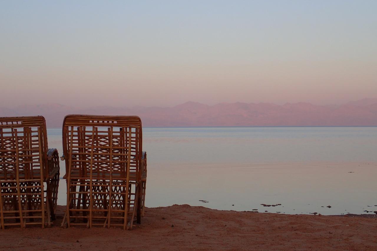 Bedouin Star Ξενοδοχείο Τάμπα Εξωτερικό φωτογραφία