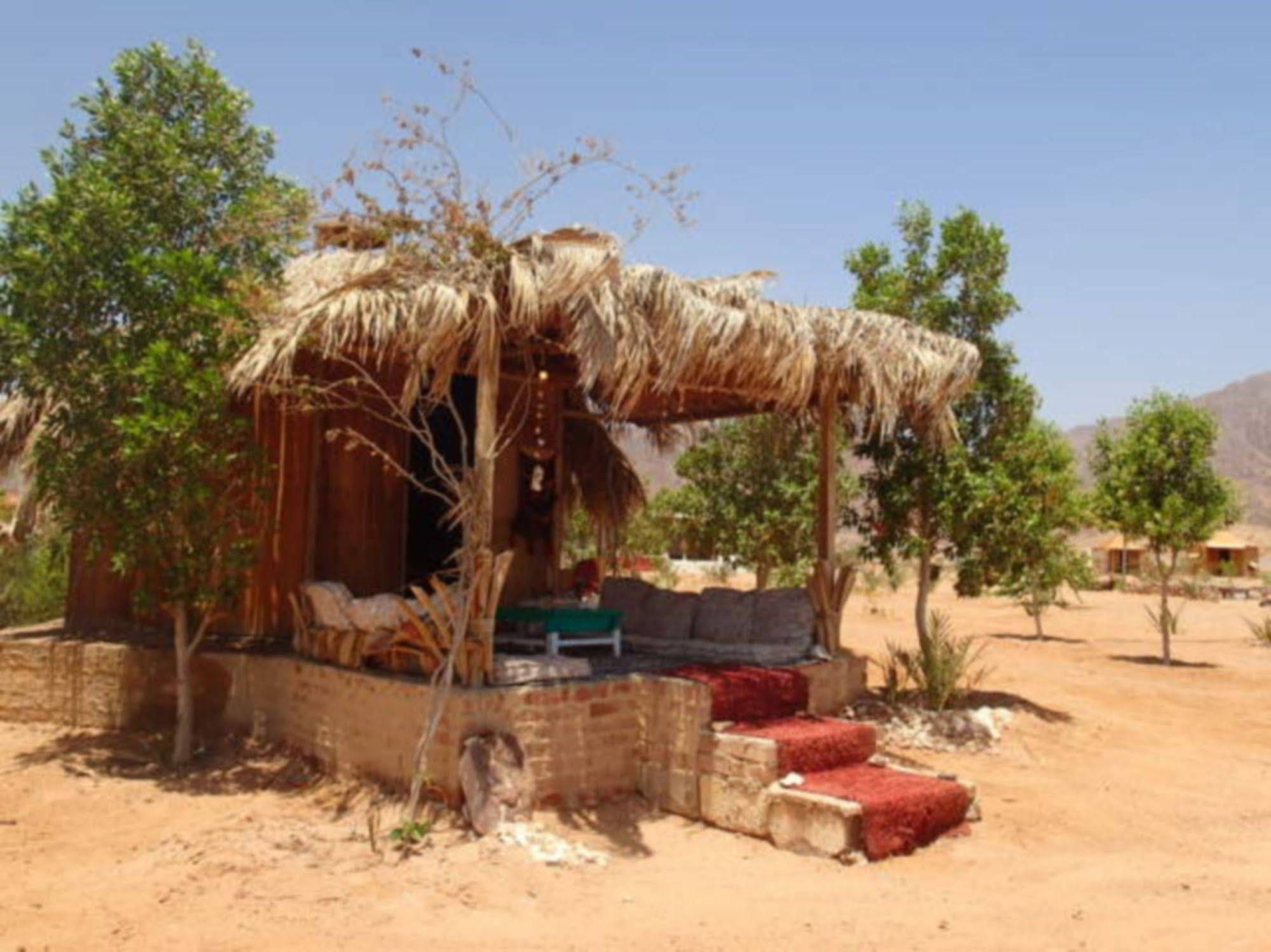 Bedouin Star Ξενοδοχείο Τάμπα Εξωτερικό φωτογραφία