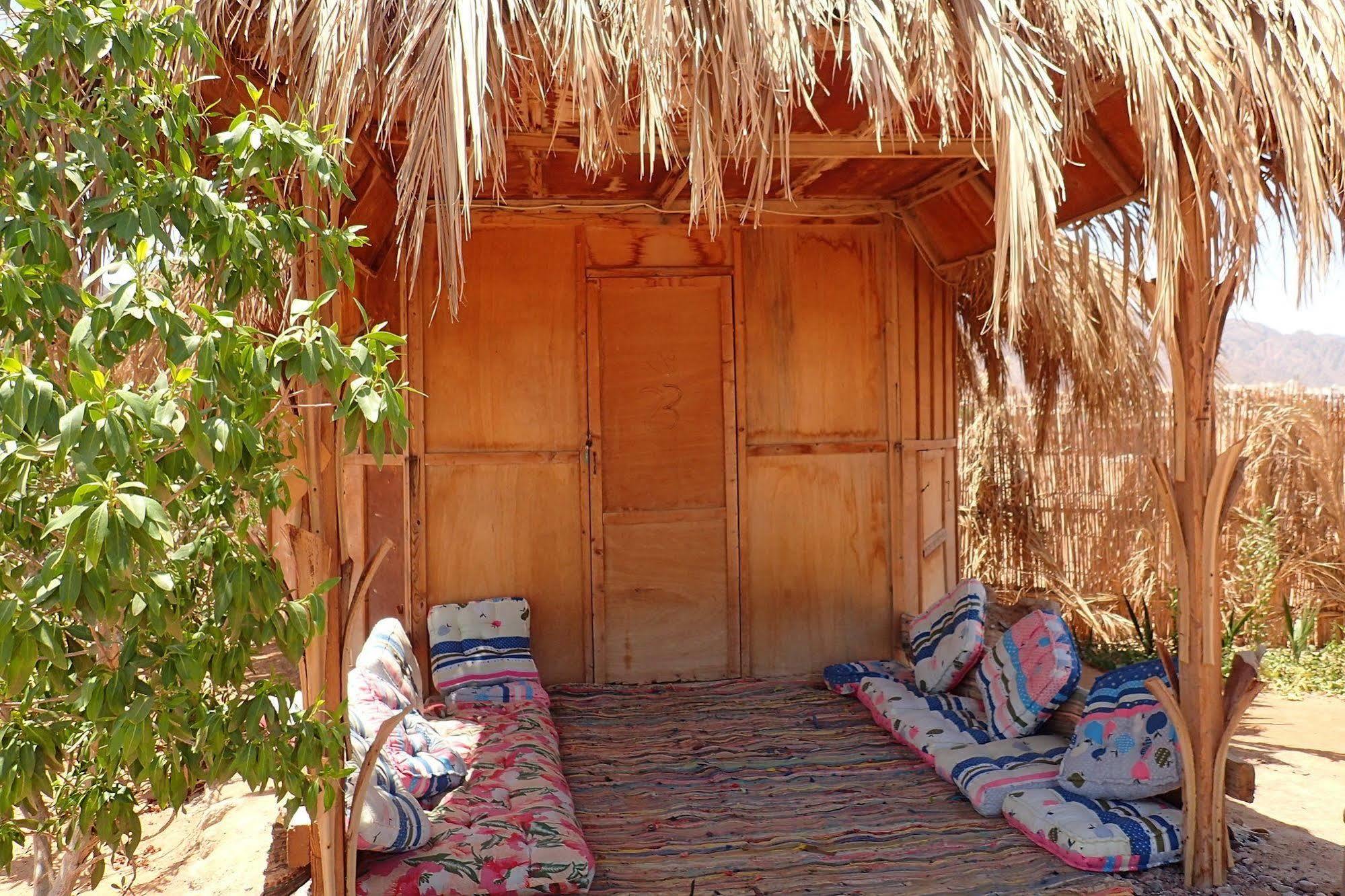 Bedouin Star Ξενοδοχείο Τάμπα Εξωτερικό φωτογραφία