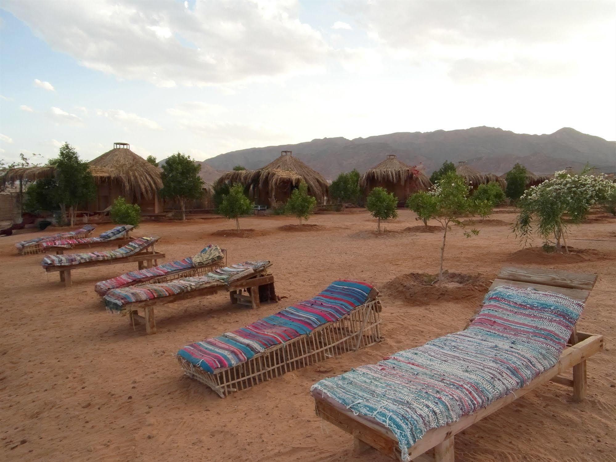 Bedouin Star Ξενοδοχείο Τάμπα Εξωτερικό φωτογραφία