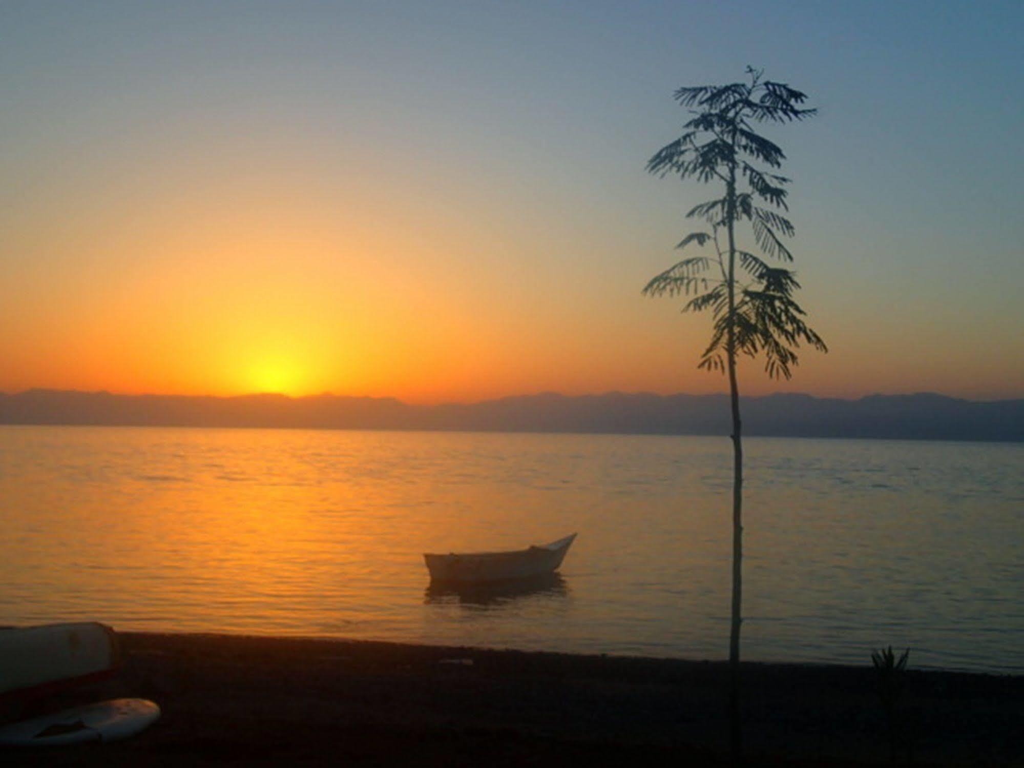 Bedouin Star Ξενοδοχείο Τάμπα Εξωτερικό φωτογραφία