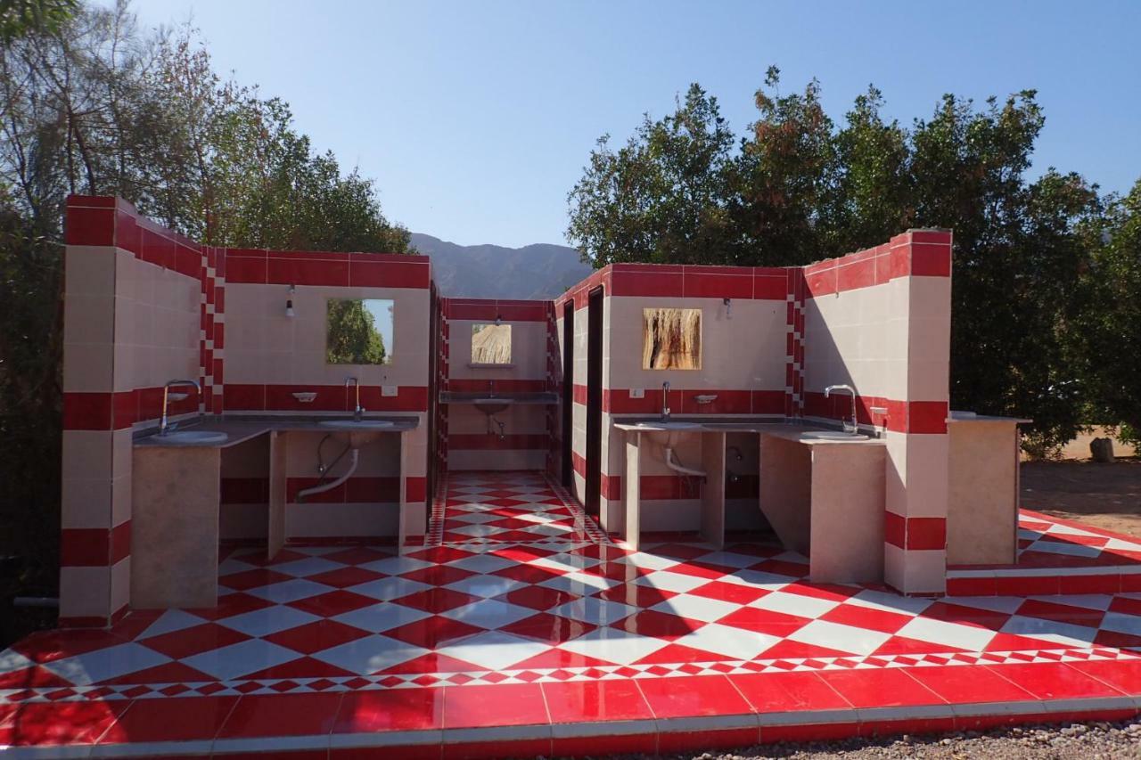 Bedouin Star Ξενοδοχείο Τάμπα Εξωτερικό φωτογραφία