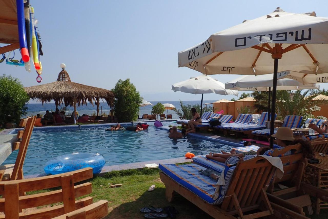 Bedouin Star Ξενοδοχείο Τάμπα Εξωτερικό φωτογραφία